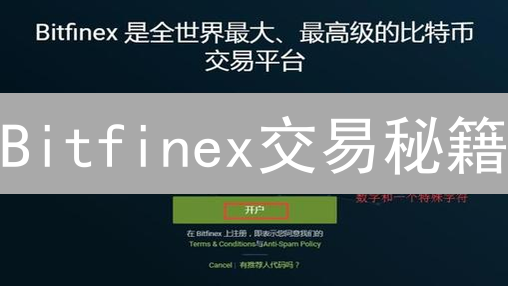 Bitfinex交易秘籍：像专业人士一样玩转加密货币交易