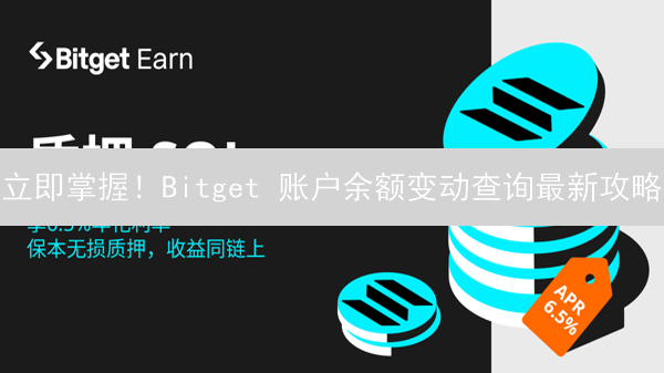 立即掌握！Bitget 账户余额变动查询最新攻略