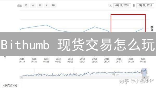 Bithumb 现货交易怎么玩？新手避坑指南 & 盈利技巧分享！