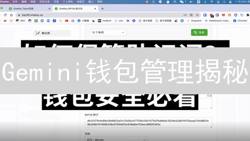 Gemini钱包管理揭秘：安全、存储与交易的黄金法则！